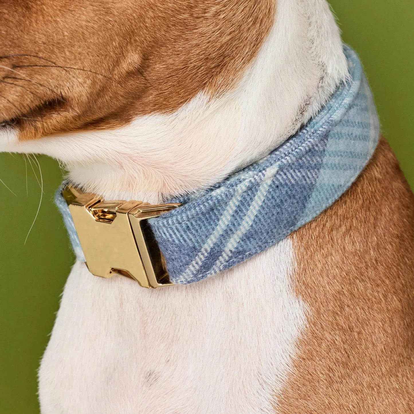 Checkered Dog Collar