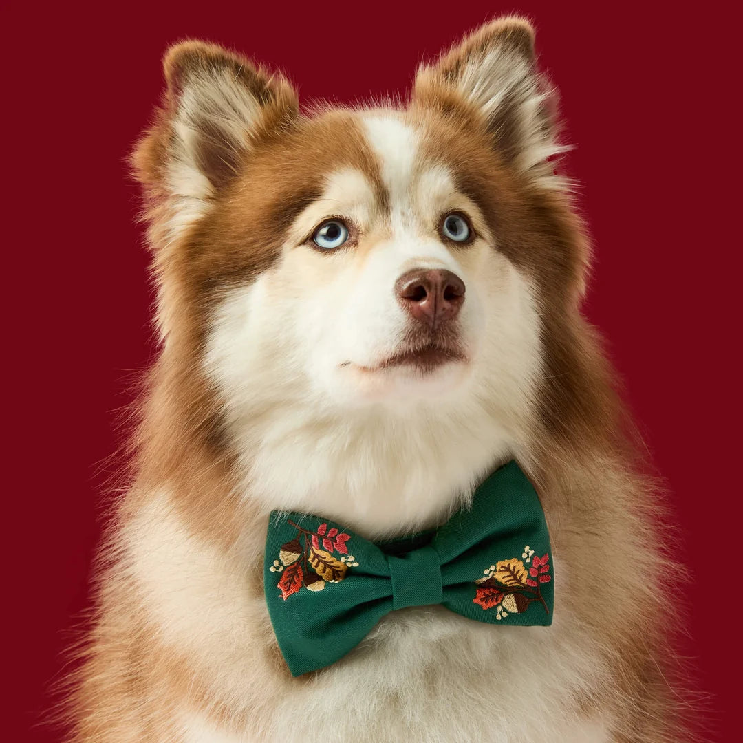 Fall Foliage Embroidered Bow Tie Collar