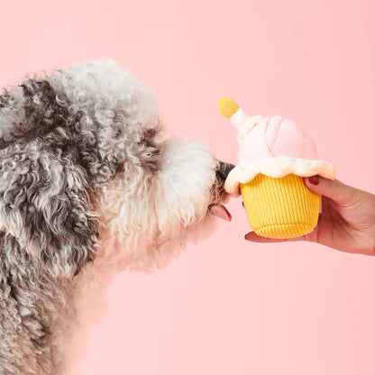 Cupcake Plush Dog Toy