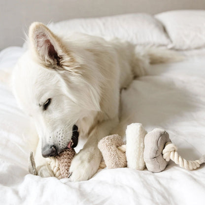 Plush Rope Tug Dog Toy