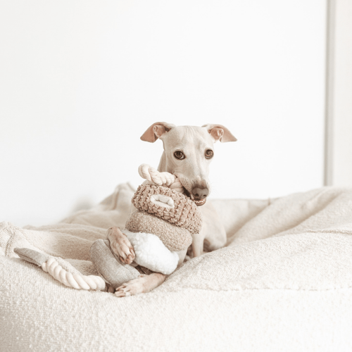 Plush Rope Tug Dog Toy