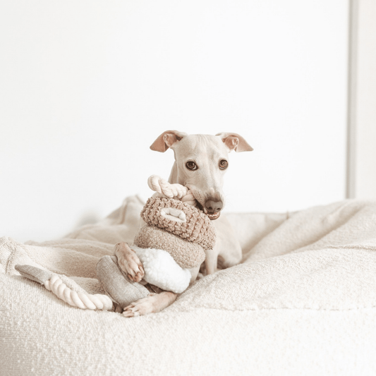 Plush Rope Tug Dog Toy