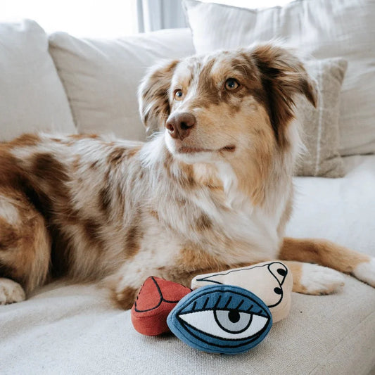 3-Piece Snuffle & Squeaky Dog Toy Set